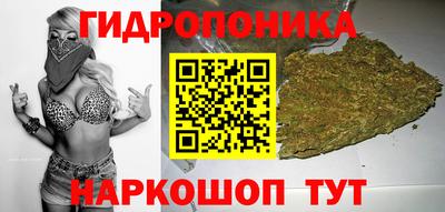 мяу мяу мука Тара