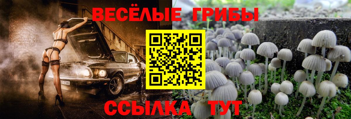 Галлюциногенные грибы мухоморы  Вход с VPN  Барнаул 